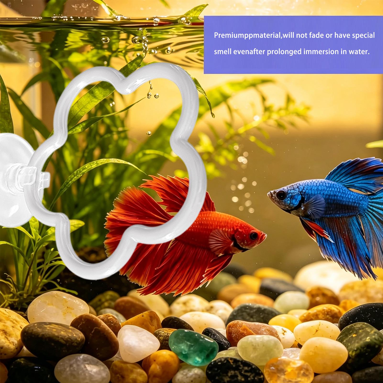 Fish Toys For Aquarium - Betta-Spielzeug für Aquarien, 5 Stück, saugnapfartiges,