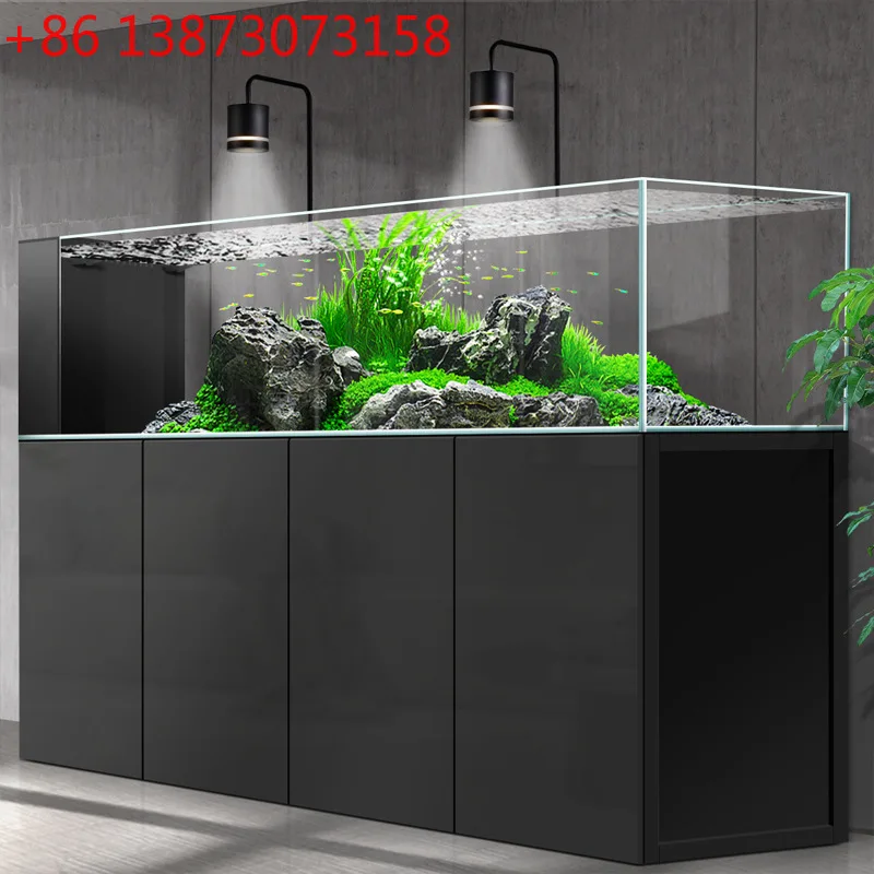 Wild Aquarium Fish - Flussfisch-Aquarium für den Haushalt, mittelgroß und