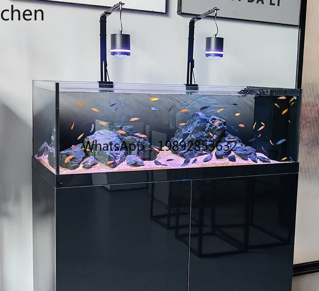 Wild Aquarium Fish - Stream Tank Native Wild Collection Three