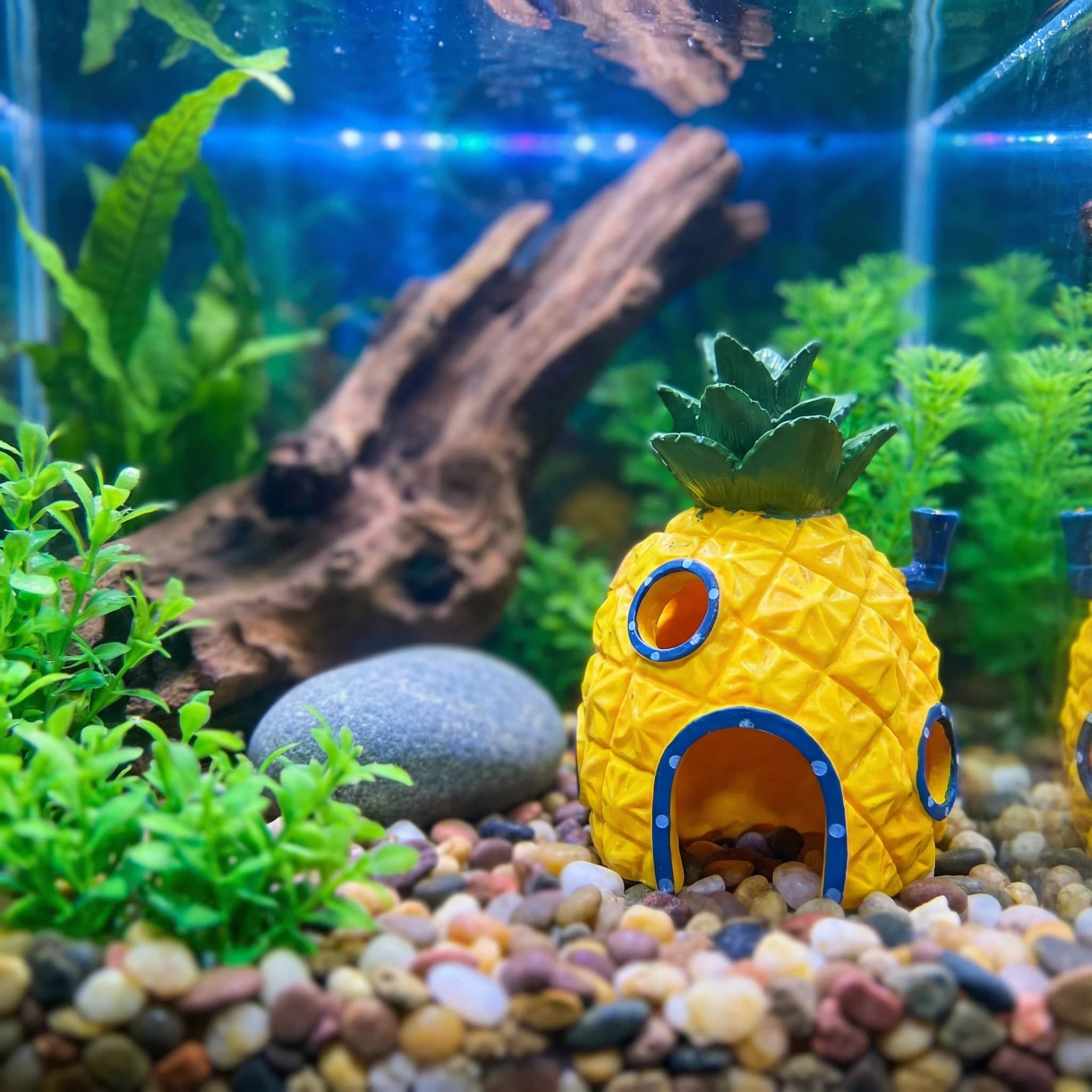 Aquarium Fish Hiding Places - Ananas-Haus-Aquarium-Dekoration, umweltfreundliche Versteckhöhle aus Kunstharz für
