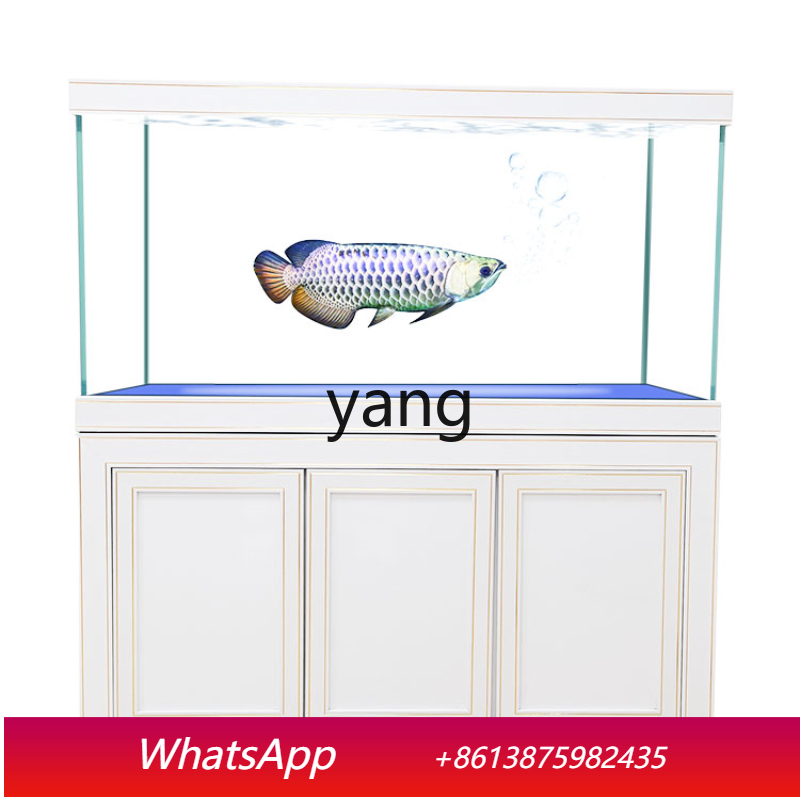 Aquarium Fish Dragon - LH Super Weißglas Mittelgroßes und Großes