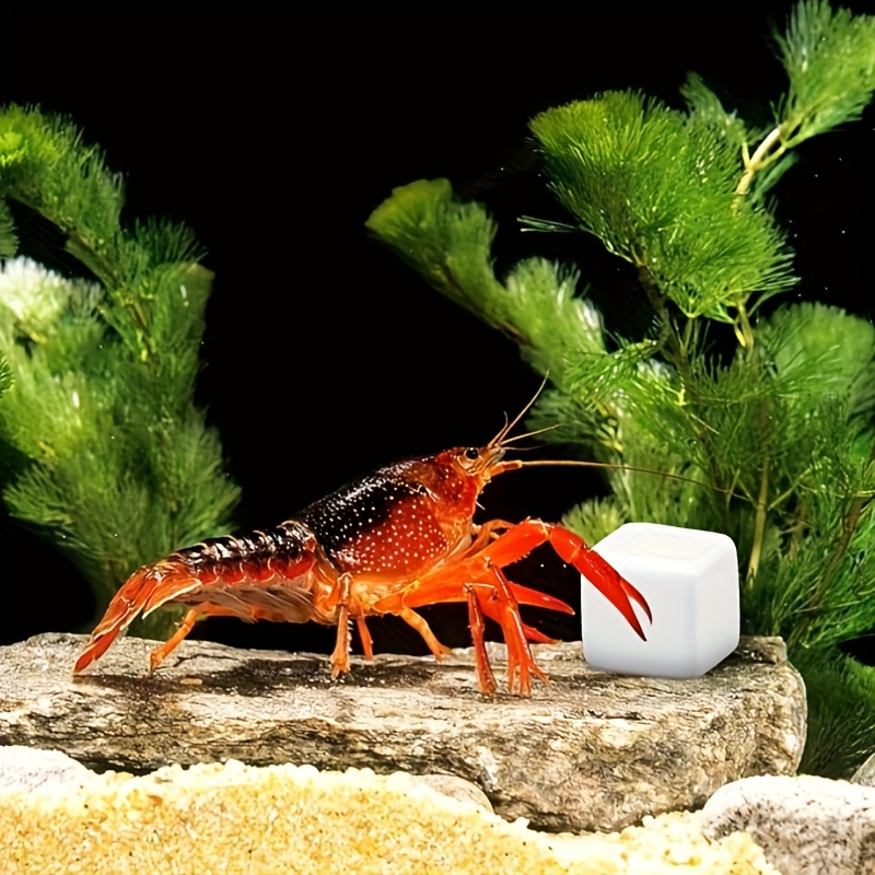 Aquarium Fish Hiding Places - 6-teiliger Aquarium-Kalziumblock, Mineralien, Aquarium-Versorgung, Krabbelwürfel für