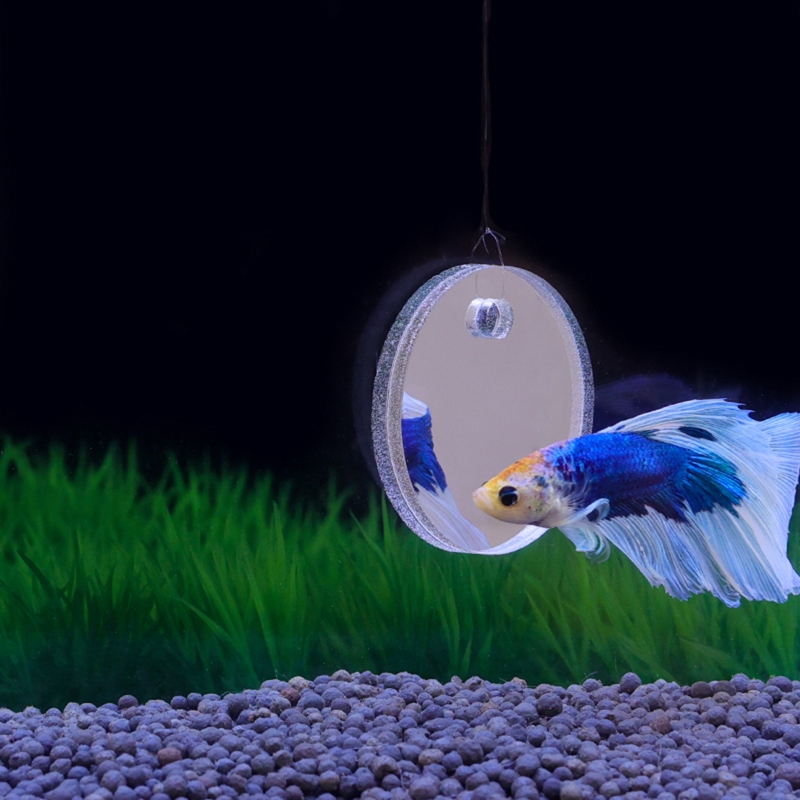 Fish Toys For Aquarium - Fisch Übung Spiegel Fördert Natürliche Territoriale