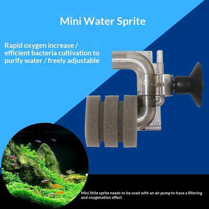 Heißer Verkauf - Mini-Aquarium – Aquarium Fish Sale Bewertung und Preis