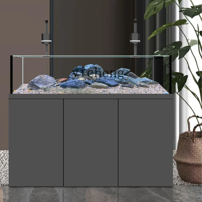 ABB nativer Wildströmchen-Aqua – Wild Aquarium Fish Bewertung und Preis