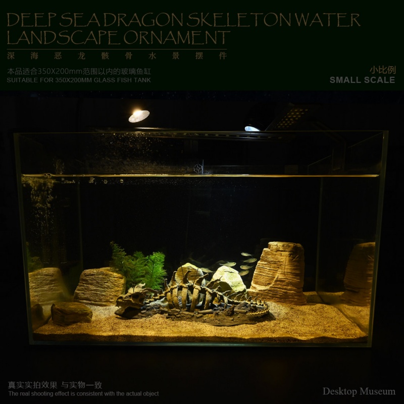 Aquarium-Ornament, Drachenknoc – Aquarium Fish Dragon Bewertung und Preis