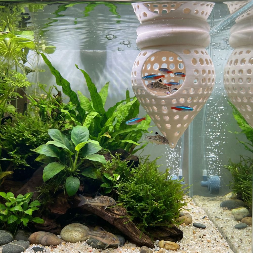 3D-Gedruckte Schwimmende Fisch – Aquarium Fish Hiding Places Bewertung und Preis