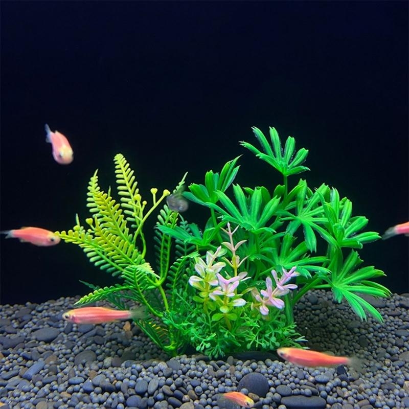 Künstliche Aquarium-Dekoration – Aquarium Fish Sale Bewertung und Preis