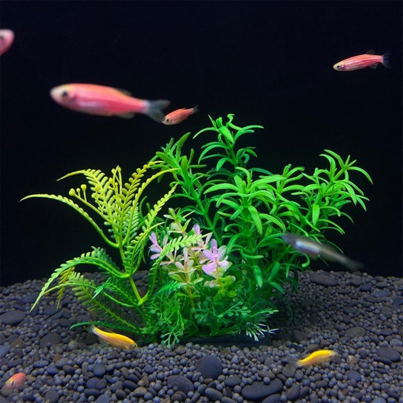 Künstliche Aquarium-Dekoration – Aquarium Fish Sale Bewertung und Preis
