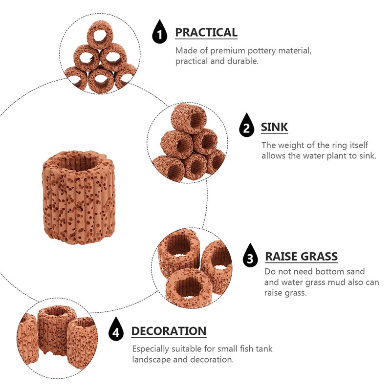 Fester Ring für Wasserpflanzen – Aquarium Fish Hiding Places Bewertung und Preis