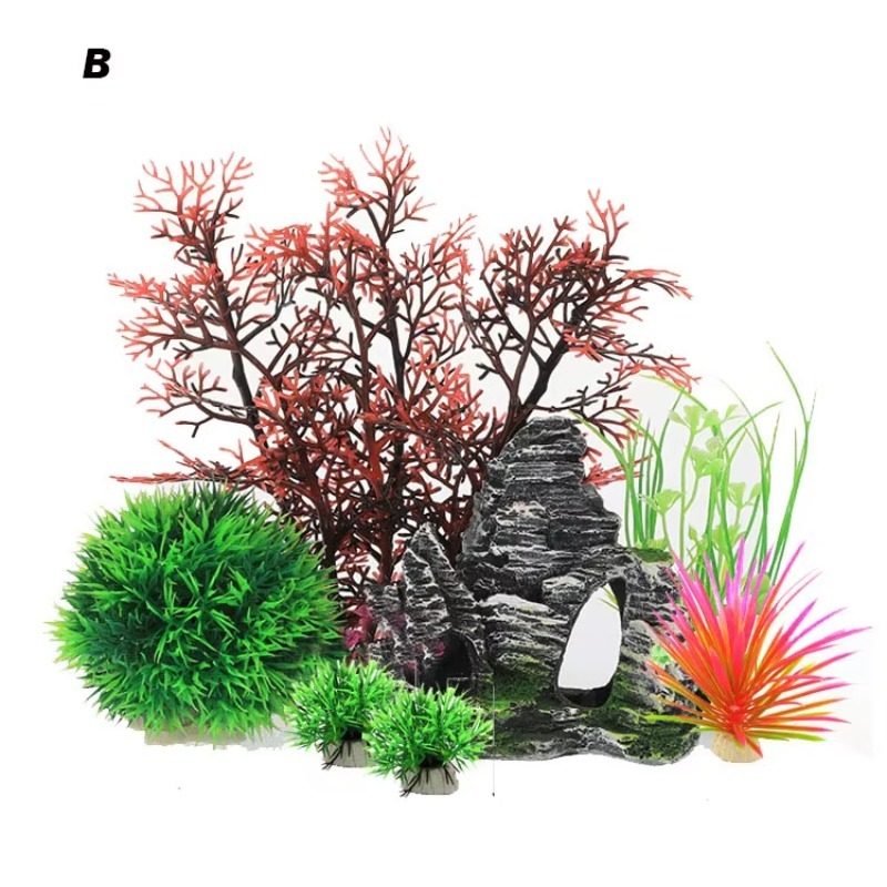 10 Stück Bestseller Neuerschei – Aquarium Fish Sale Bewertung und Preis