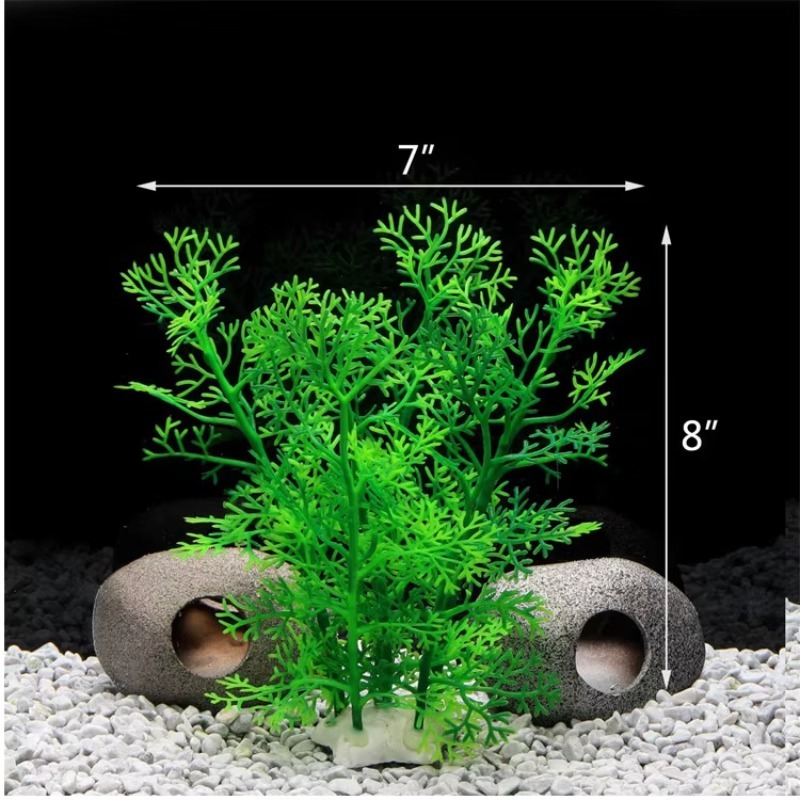 10 Stück Bestseller Neuerschei – Aquarium Fish Sale Bewertung und Preis