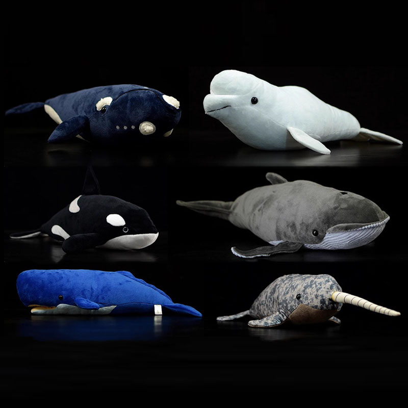 Simulierter Tiermörder Baleen  – Wild Aquarium Fish Bewertung und Preis