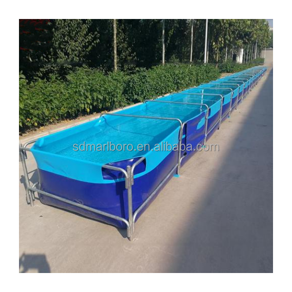 AIROW Maßgefertigte Kommerziel – Aquarium Fish Sale Bewertung und Preis