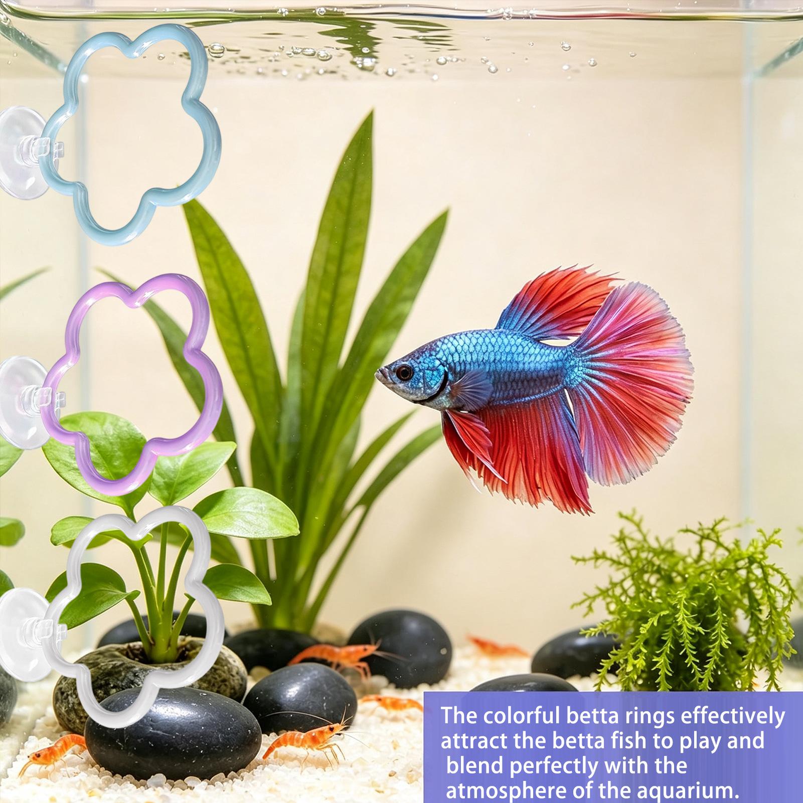 Betta-Spielzeug für Aquarien,  – Fish Toys For Aquarium Bewertung und Preis