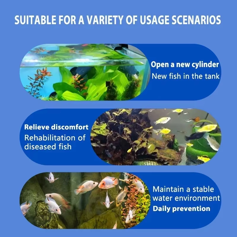 SIKEZHAN Behandlung von Fische – Aquarium Fish Quality Bewertung und Preis