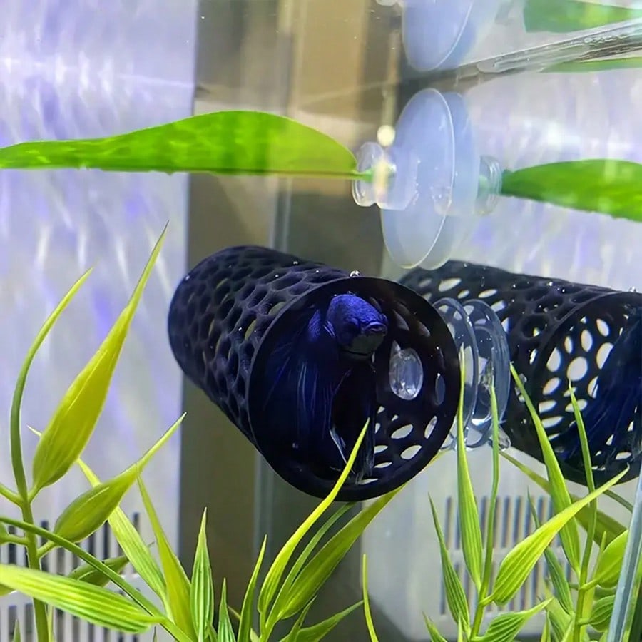 Betta-Fischversteck, hohles Ro – Aquarium Fish Hiding Places Bewertung und Preis