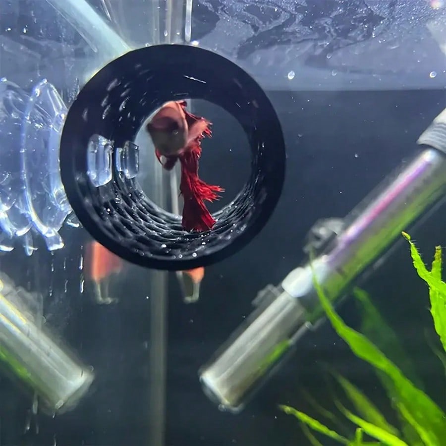 Betta-Fischversteck, hohles Ro – Aquarium Fish Hiding Places Bewertung und Preis