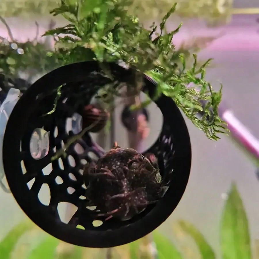 Betta-Fischversteck, hohles Ro – Aquarium Fish Hiding Places Bewertung und Preis