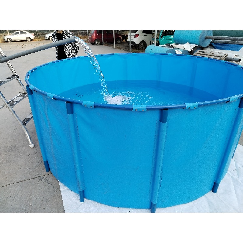 Blaues PVC-Aquarium für den In – Aquarium Fish And Price Bewertung und Preis