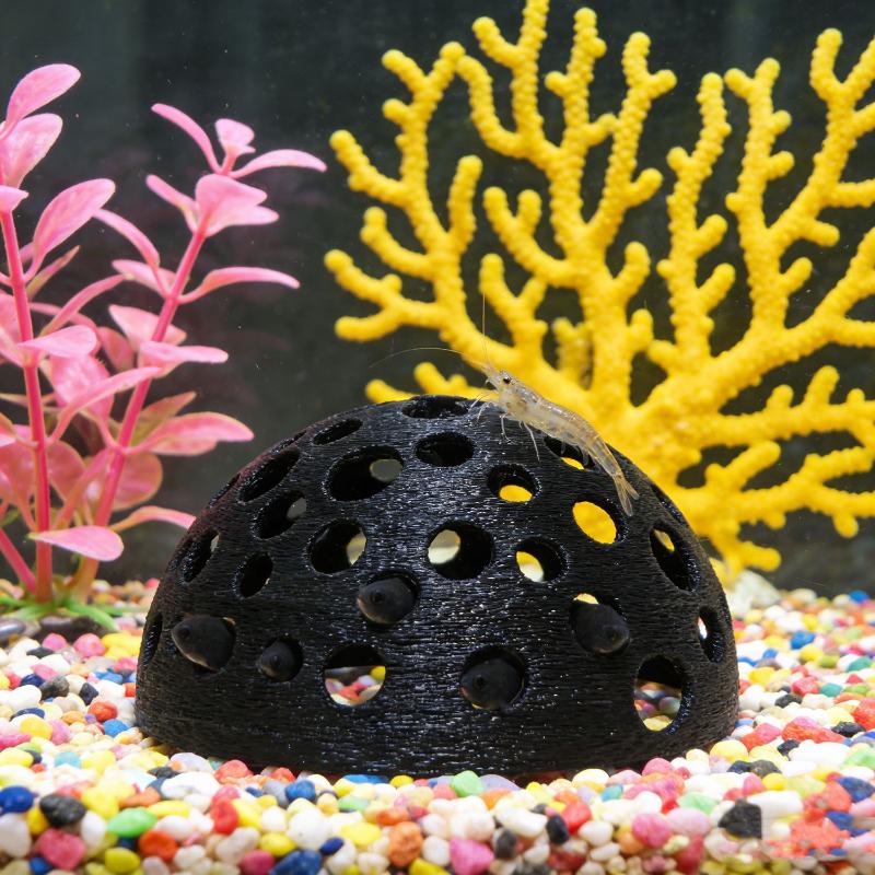 Versteckte Höhle für kleine Fi – Aquarium Fish Hiding Places Bewertung und Preis