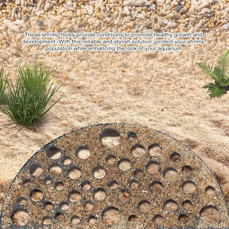 Versteckte Höhle für kleine Fi – Aquarium Fish Hiding Places Bewertung und Preis