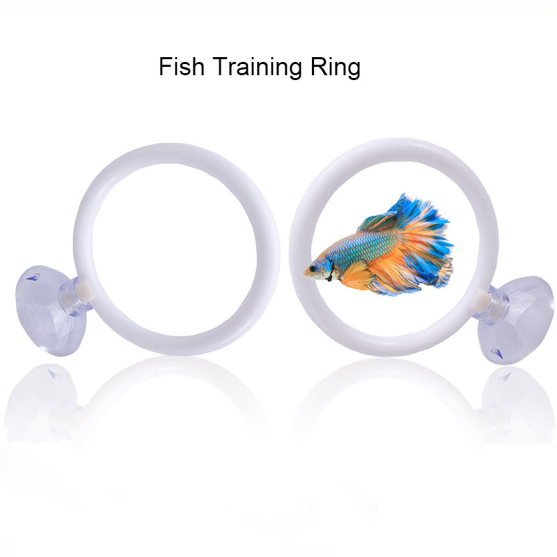 1 Stück Kunststoff-Aquarium-Tr – Fish Toys For Aquarium Bewertung und Preis