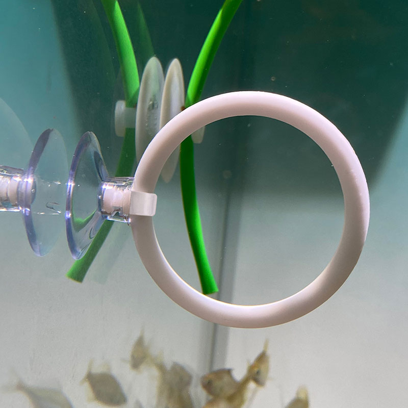1 Stück Kunststoff-Aquarium-Tr – Fish Toys For Aquarium Bewertung und Preis