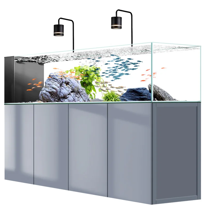 Flussfisch-Aquarium für den Ha – Wild Aquarium Fish Bewertung und Preis