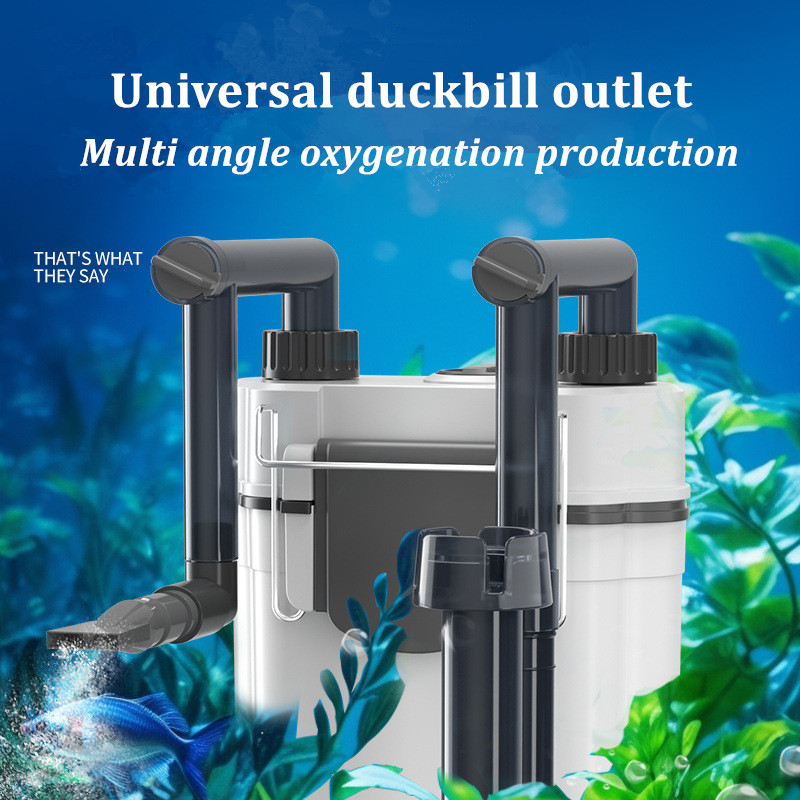 Heißer Verkauf zum Aufhängen a – Aquarium Fish Sale Bewertung und Preis
