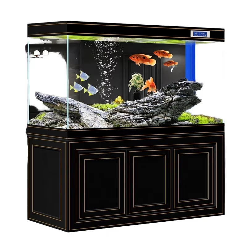 Aquarium für Wohnzimmer und Zu – Aquarium Fish Dragon Bewertung und Preis