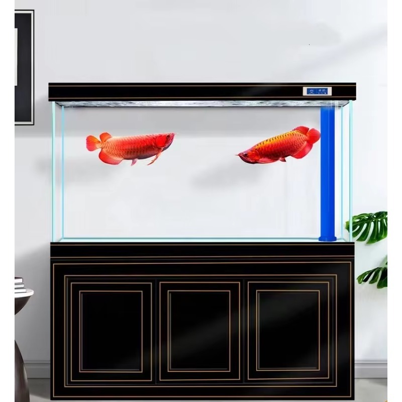 Aquarium für Wohnzimmer und Zu – Aquarium Fish Dragon Bewertung und Preis