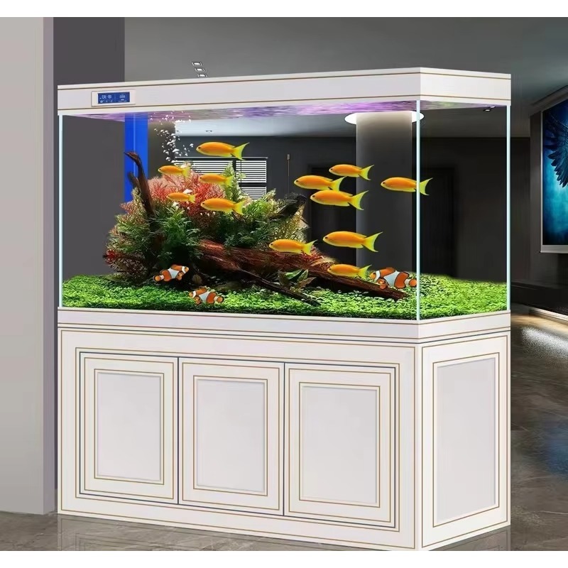 Aquarium für Wohnzimmer und Zu – Aquarium Fish Dragon Bewertung und Preis