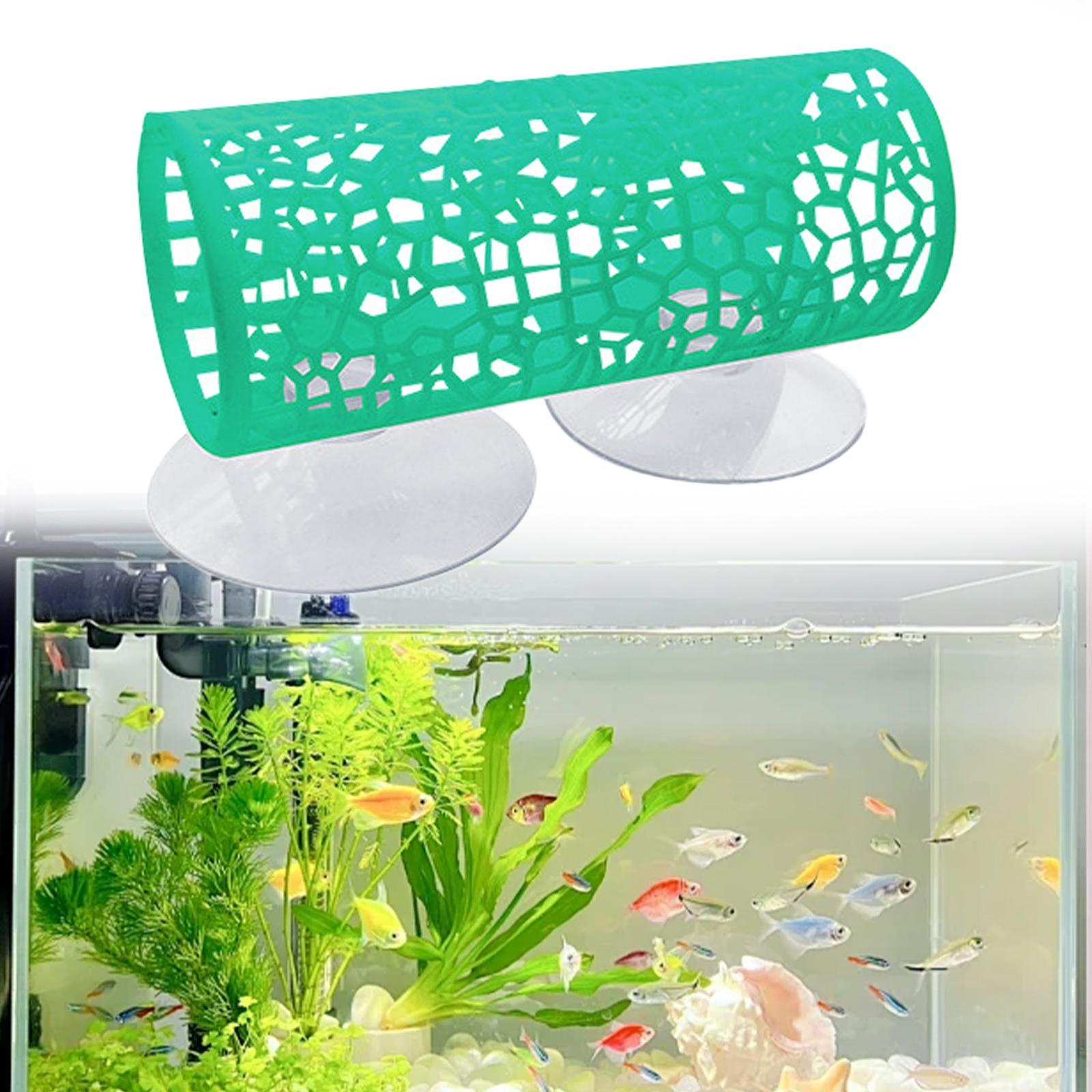 Betta-Tunnel - Versteck, Betta – Aquarium Fisch Bewertung und Preis