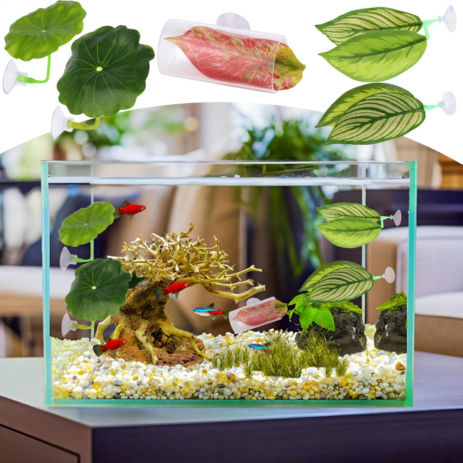 Betta-Fisch-Hängematte, 5-teil – Fish Toys For Aquarium Bewertung und Preis