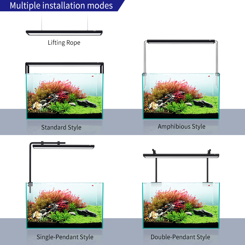 ZXY WEEKAQUA V300SE Bester Pre – Aquarium Fish And Price Bewertung und Preis