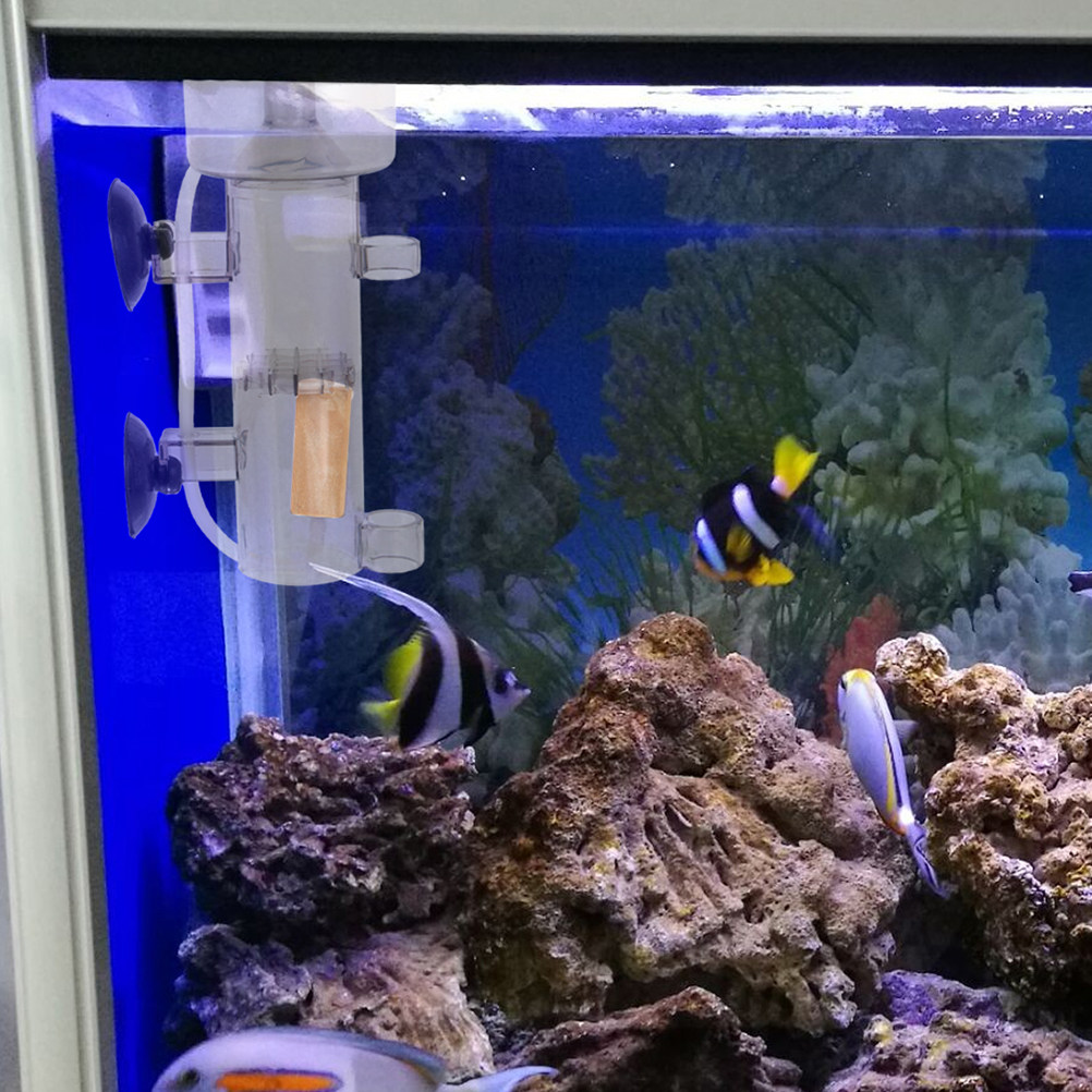 Proteinabschäumer, interner Mi – Fish Tank Filter Aquarium Bewertung und Preis
