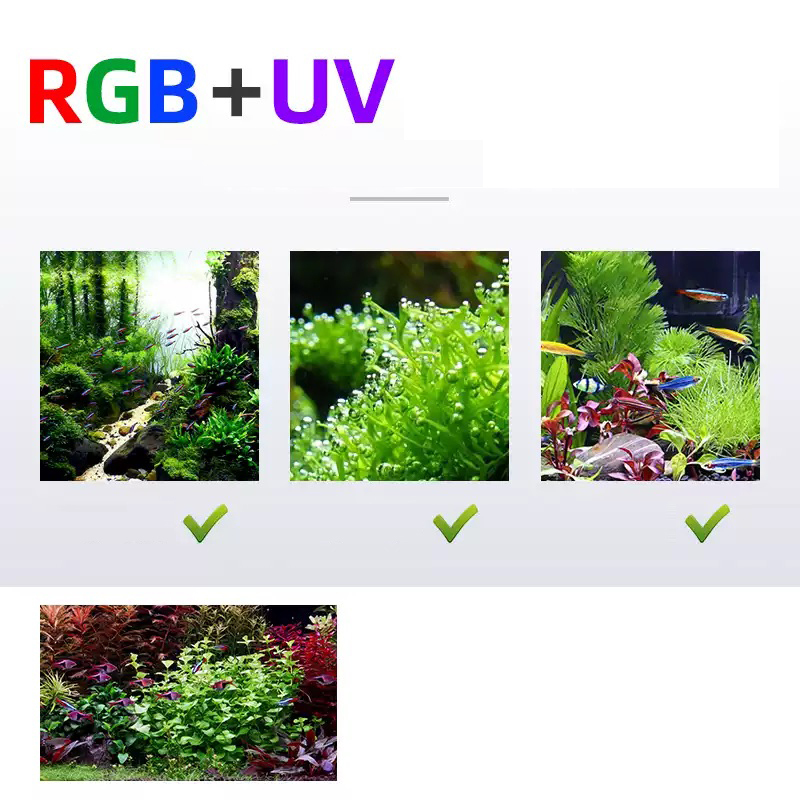 Led-beleuchtung 60 cm 80 cm 90 – Aquarium Fish Sale Bewertung und Preis
