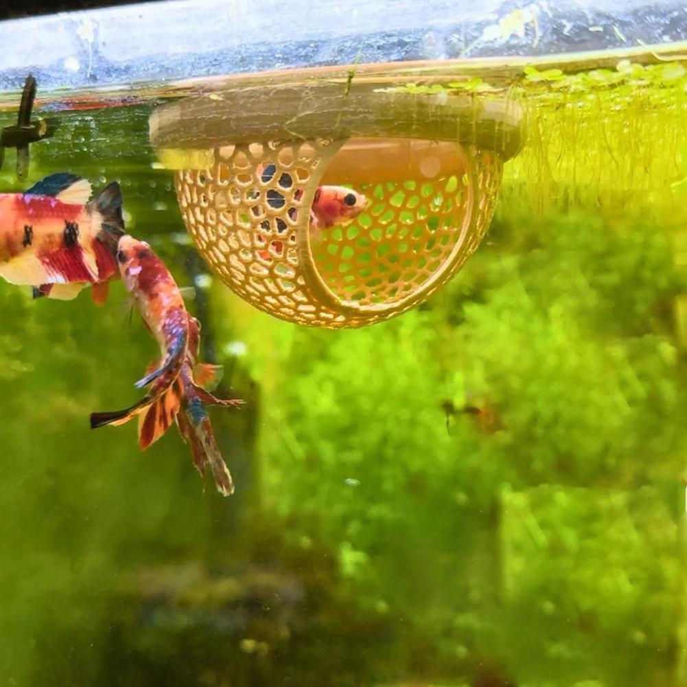 Aquarium, schwimmende Höhle, F – Aquarium Fish Hiding Places Bewertung und Preis