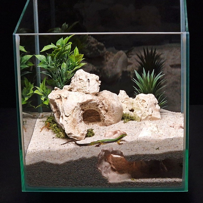 3D-Gedruckter Fisch-Tunnel Aqu – Aquarium Fish Hiding Places Bewertung und Preis