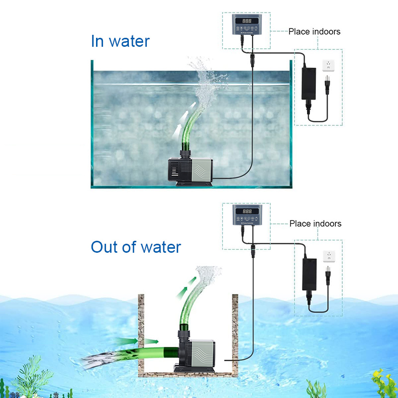 Direkt vom Hersteller: Anpassb – Aquarium Fish And Price Bewertung und Preis