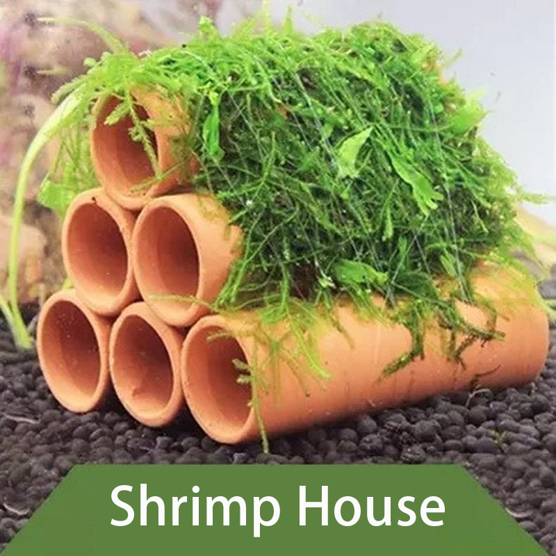 Ton Aquarium Dekoration Fisch  – Aquarium Fish Hiding Places Bewertung und Preis