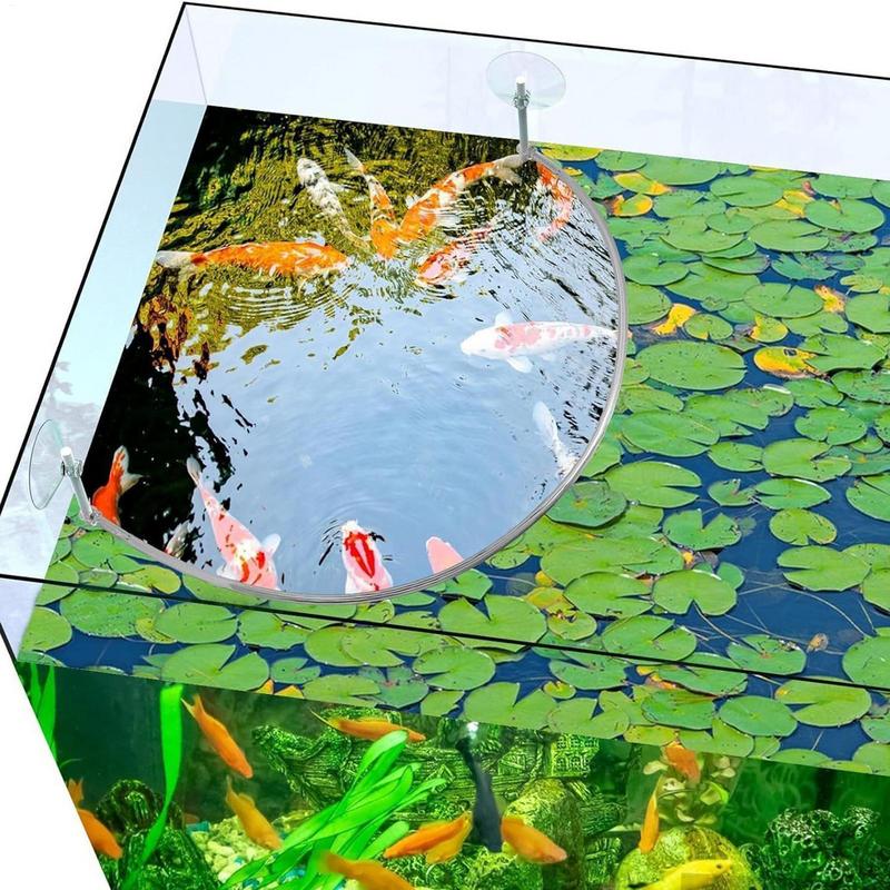 Floating Plant Corral Fish Fee – Aquarium Fish Quality Bewertung und Preis