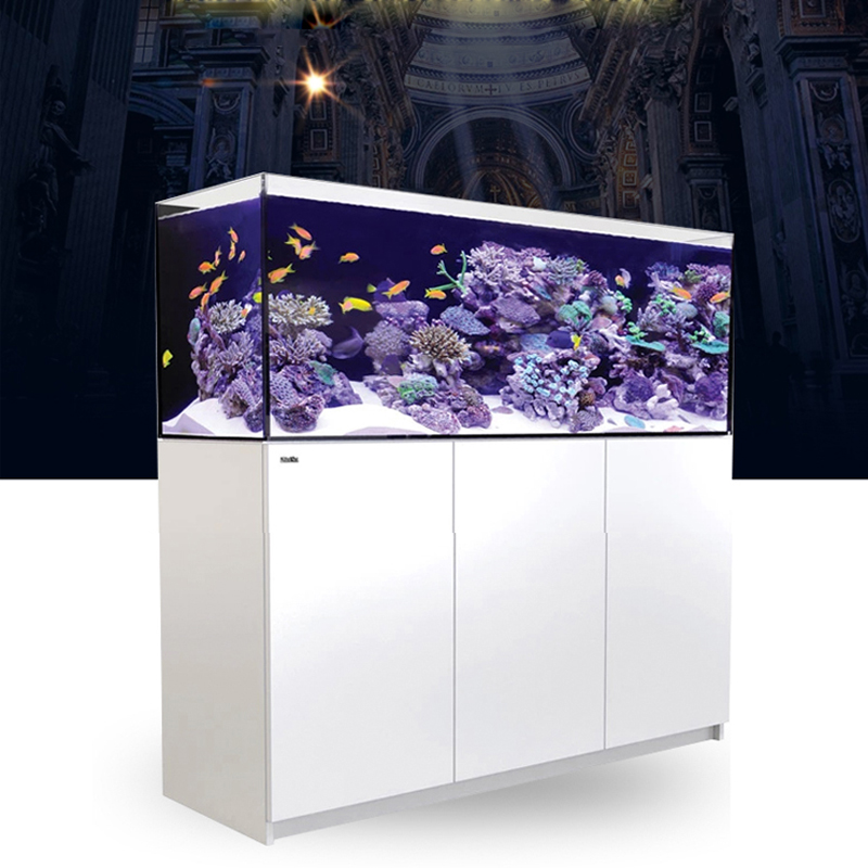 2026 Heiß begehrter Großhandel – Aquarium Fish And Price Bewertung und Preis