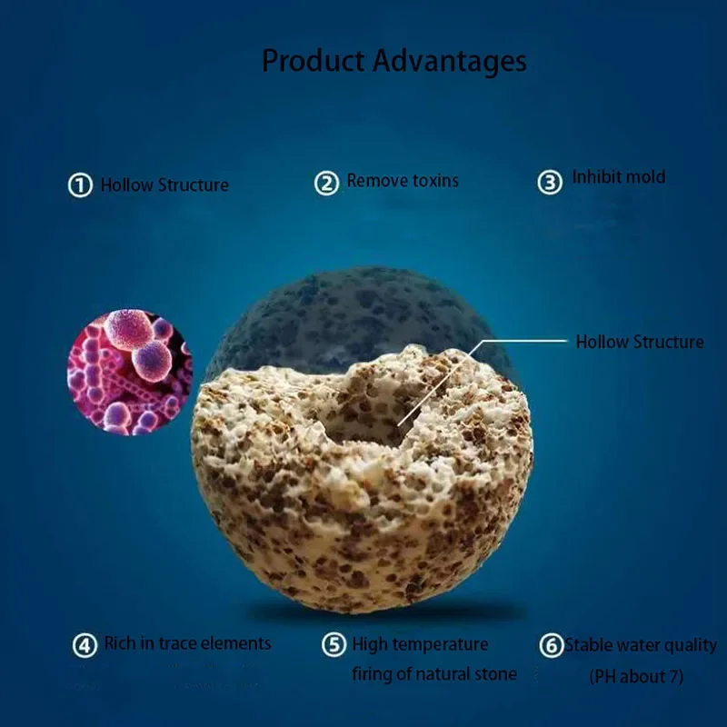 10 Stück 20 Stück hochwertige  – Aquarium Fish Quality Bewertung und Preis
