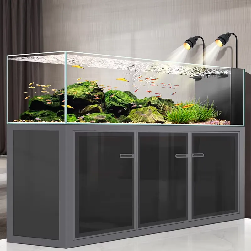 Fabrikpreis 240 Gallonen Recht – Aquarium Fish And Price Bewertung und Preis
