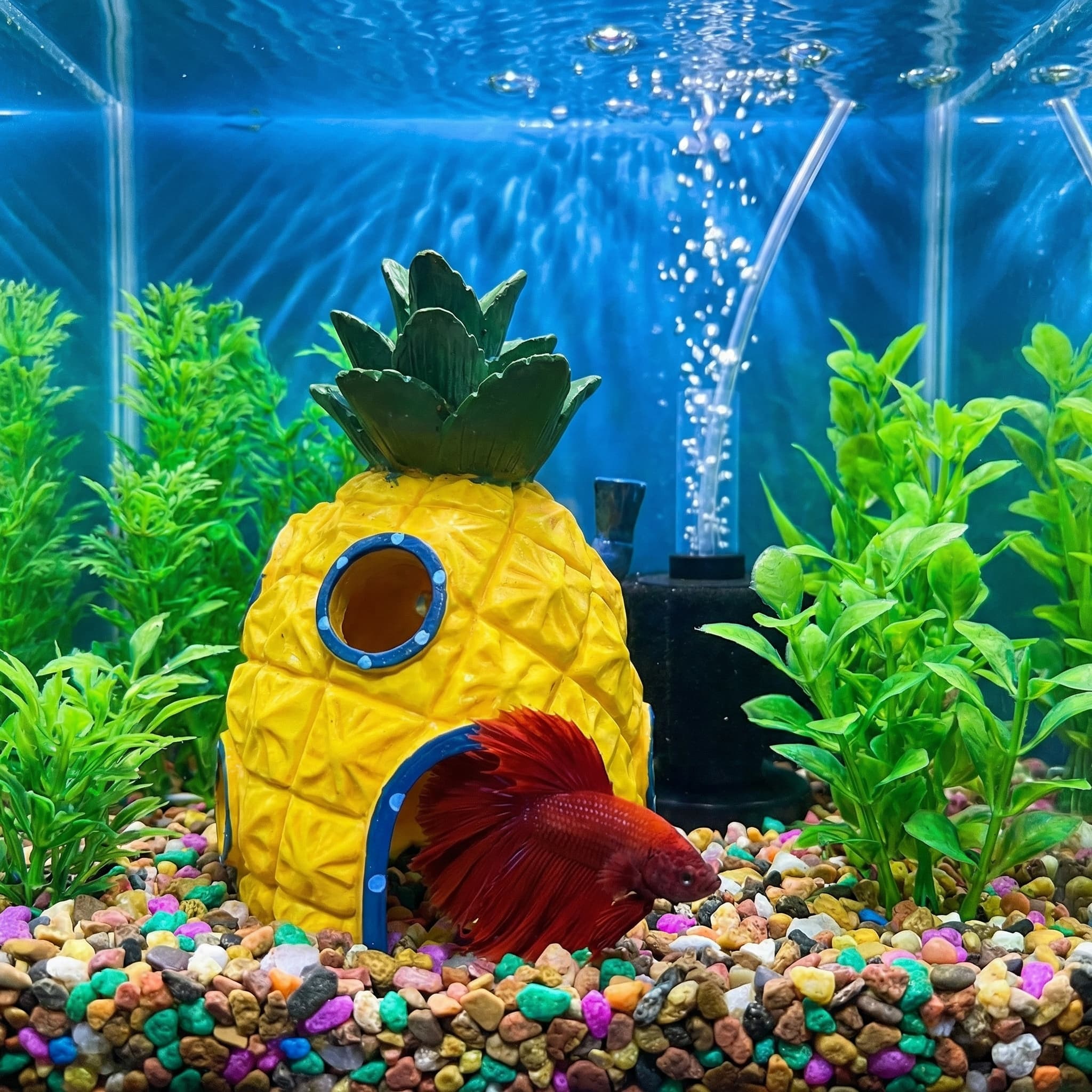 Ananas-Haus-Aquarium-Dekoratio – Aquarium Fish Hiding Places Bewertung und Preis