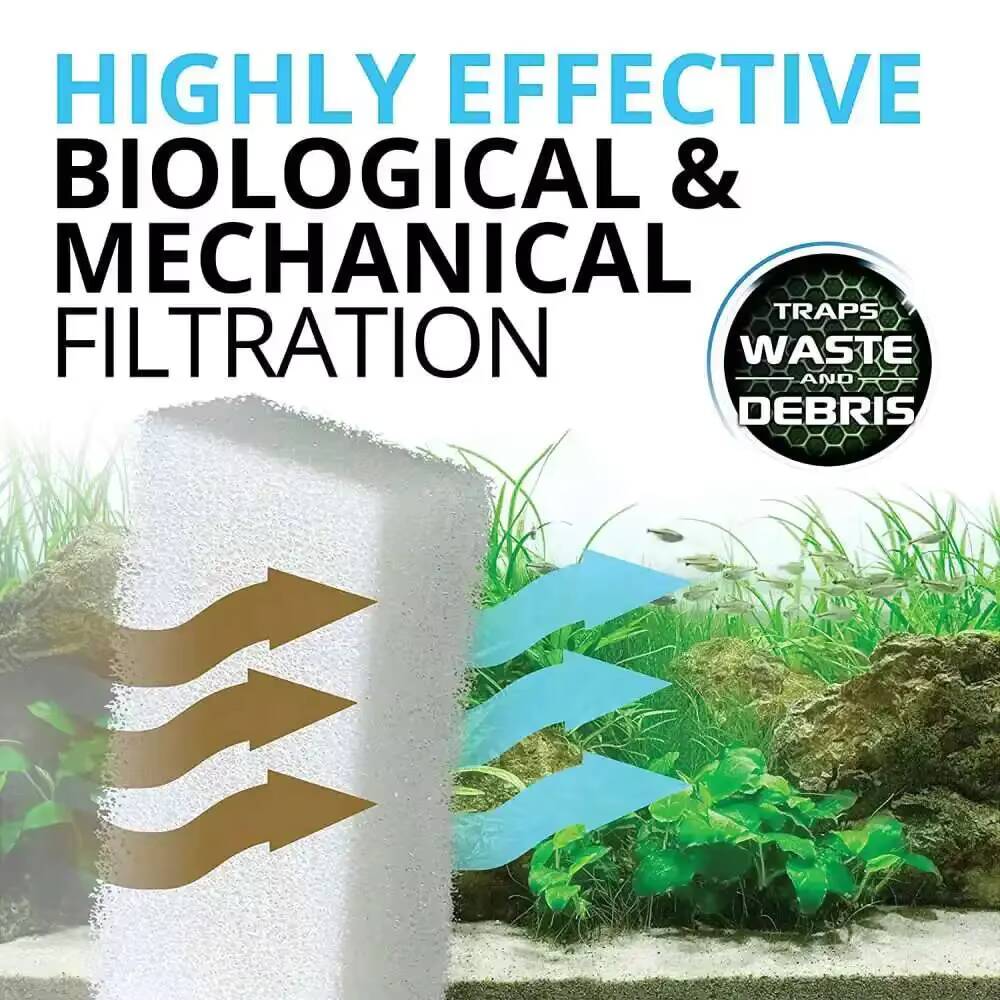 Hochwertiges 6- oder 12/20-tei – Aquarium Fish Quality Bewertung und Preis