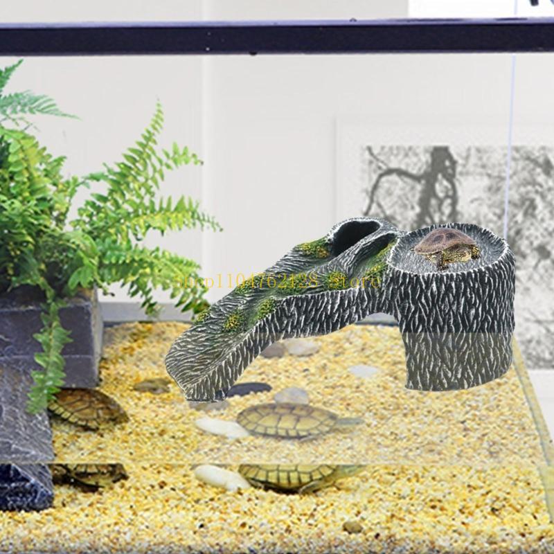 Terrarien, Sonnenplattform, Aq – Aquarium Fish Sale Bewertung und Preis