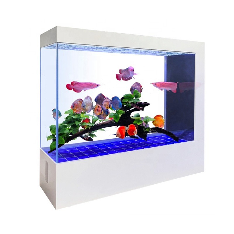 Großhandel Maßanfertigung Neue – Aquarium Fish And Price Bewertung und Preis